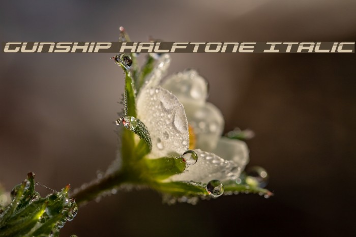 Gunship Halftone Italic Example 2