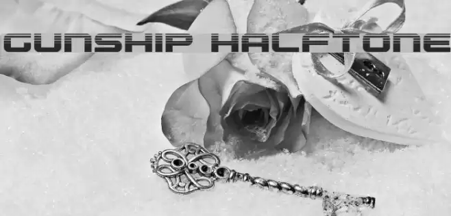 Gunship Halftone Font examples