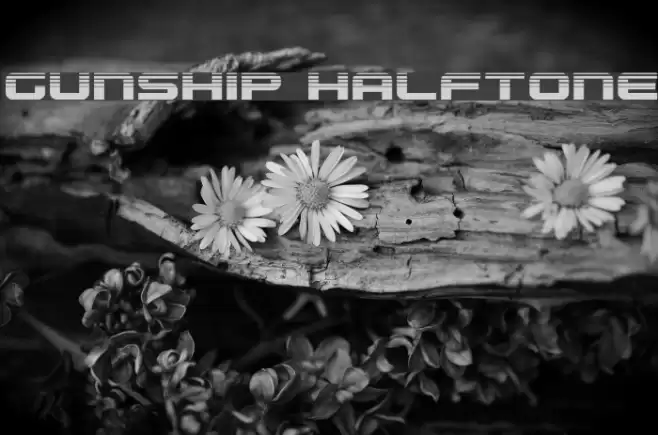 Gunship Halftone Font examples