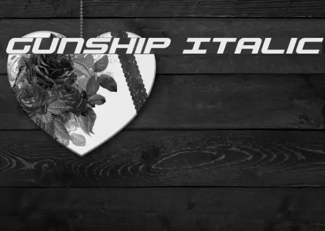 Gunship Italic examples