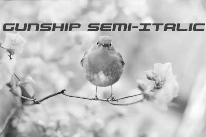 Gunship Semi-Italic examples