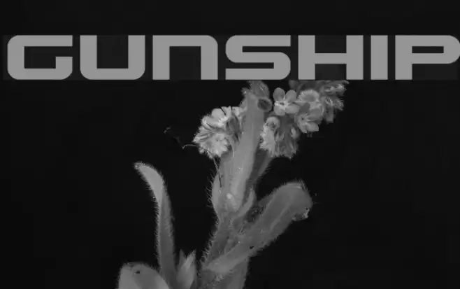 Gunship Font examples