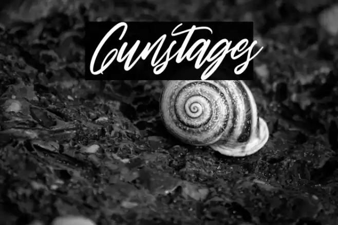 Gunstages Font examples