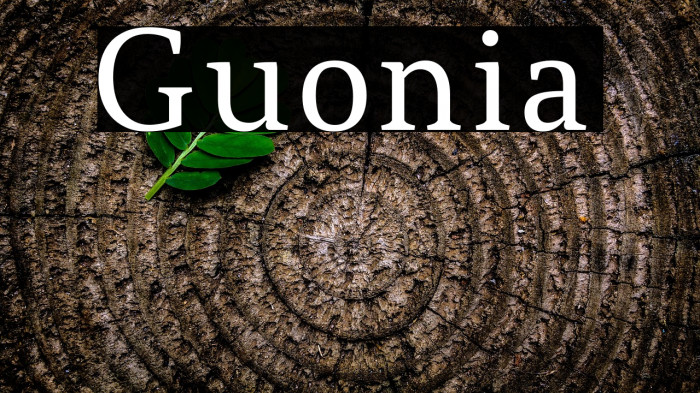 Guonia Example 1