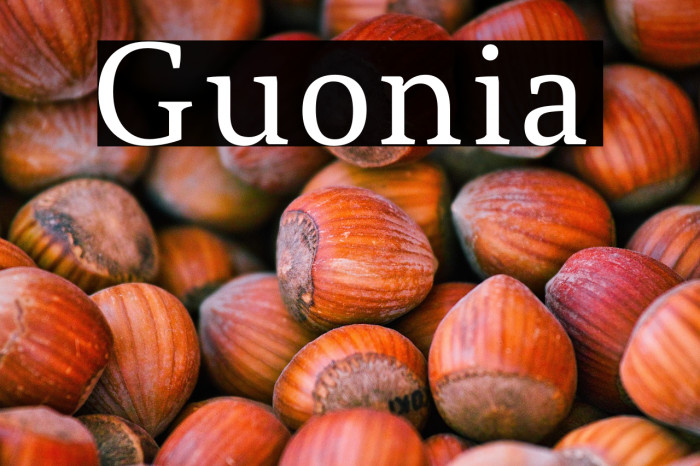 Guonia Example 2