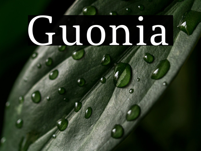 Guonia Example 3