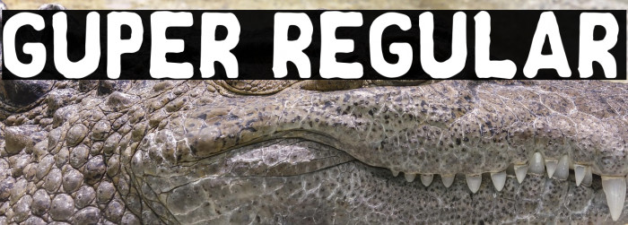 Guper Regular Example 1