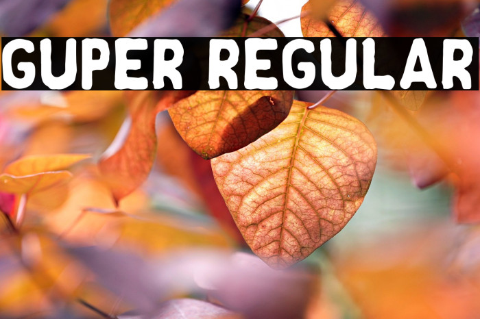 Guper Regular Example 3