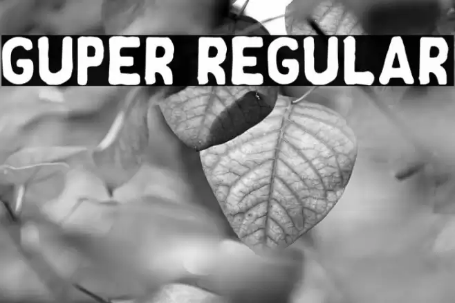 Guper Regular Font examples