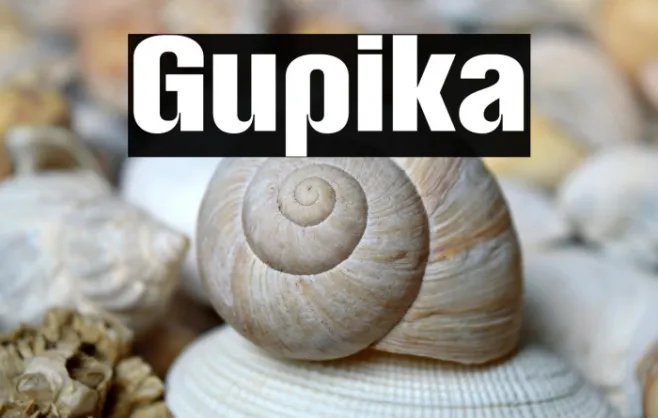 Gupika Example 1
