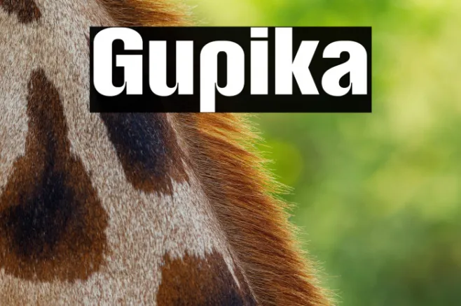 Gupika Example 3