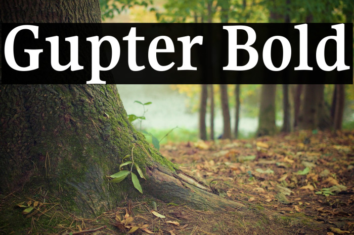 Gupter Bold Font examples