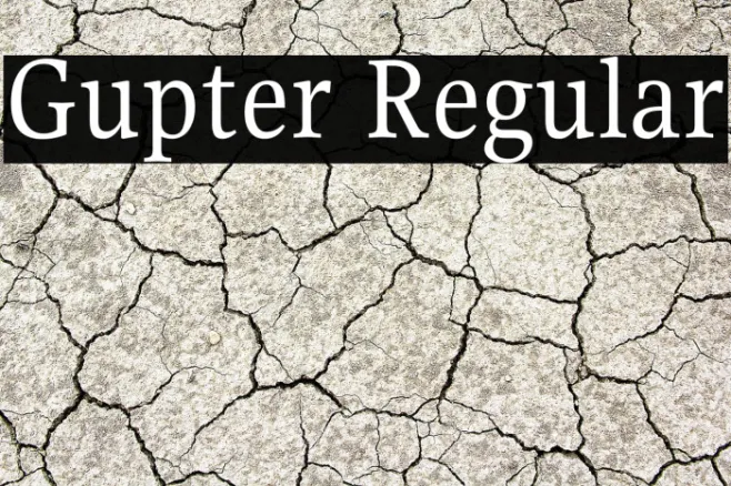 Gupter Regular Example 1