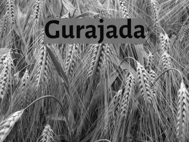Gurajada Font examples