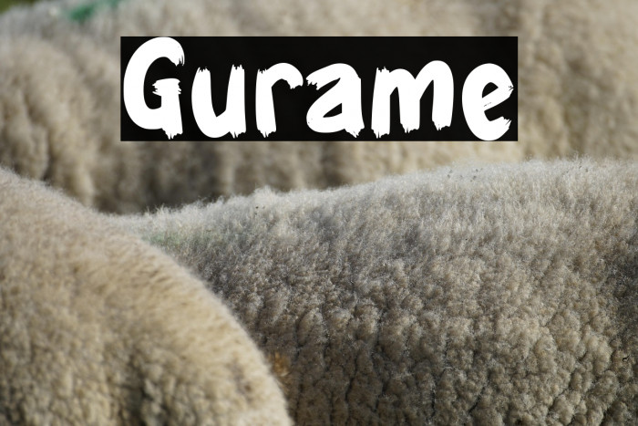 Gurame Example 1