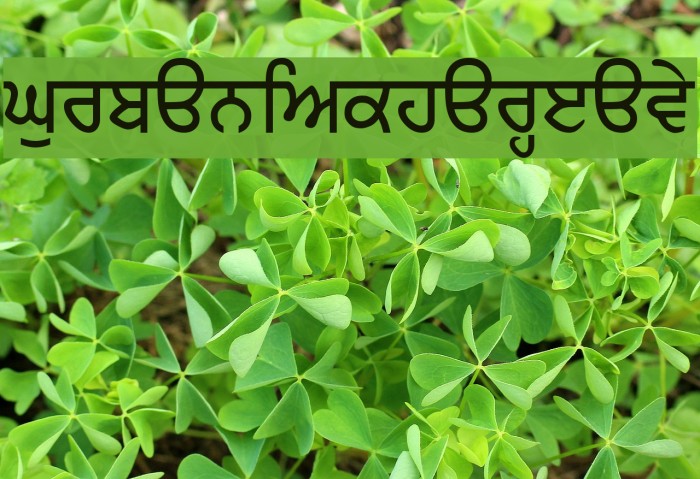 GurbaniAkharHeavy Font examples