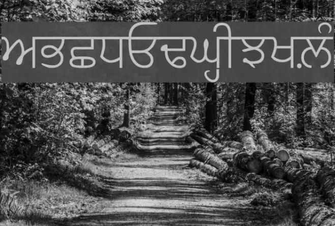 GurbaniAkharLight フォント examples