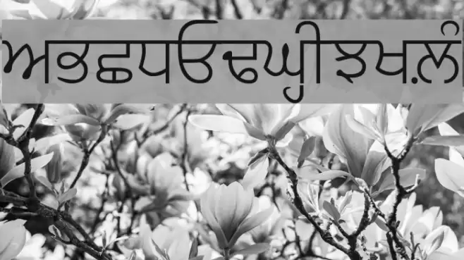 GurbaniAkharLight フォント examples