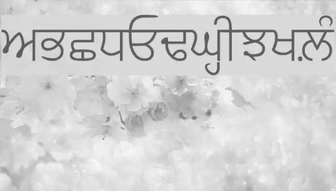 GurbaniAkharLight フォント examples