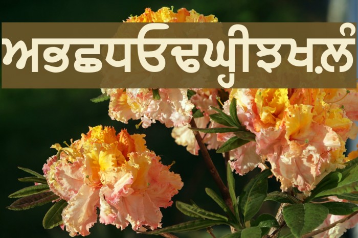 GurbaniAkharThick Font examples