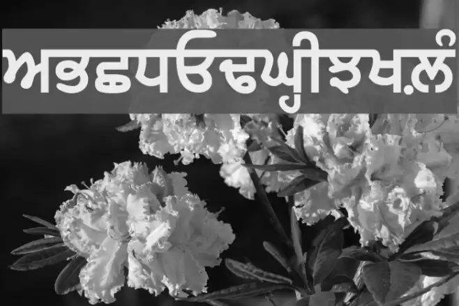 GurbaniAkharThick Schriftart examples