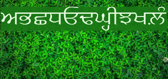 GurbaniKalmi Font examples