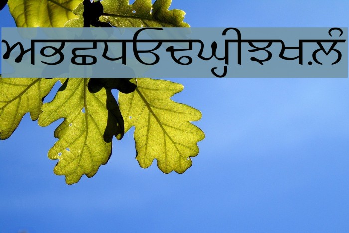GurbaniKalmi Font examples
