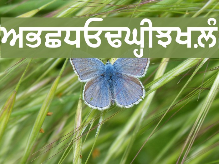 GurbaniLipi Bold Font examples