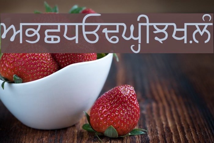 GurbaniLipiLight Font examples