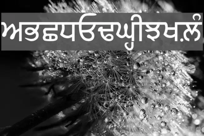 GurbaniLipi Font examples