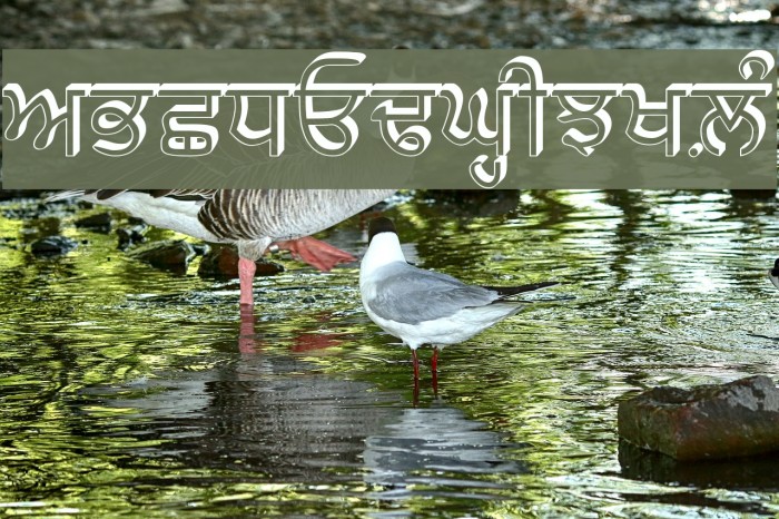 GurbaniRaised Font examples