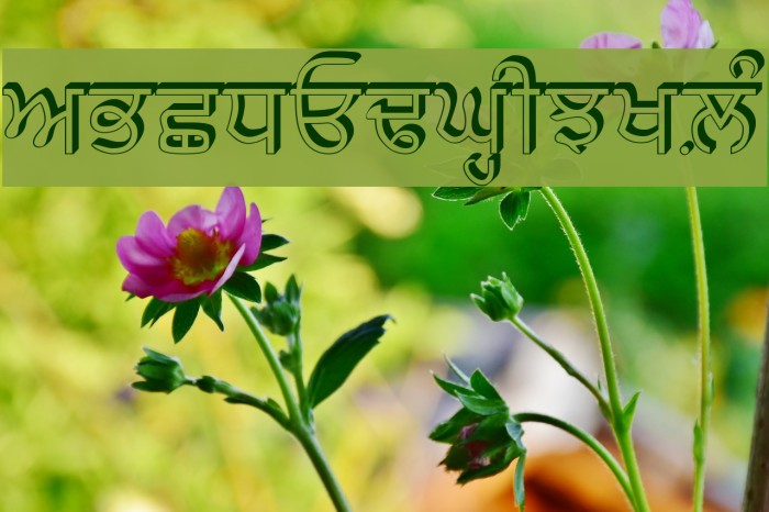 GurbaniRaised Font examples