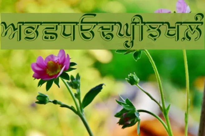 GurbaniRaised Example 3