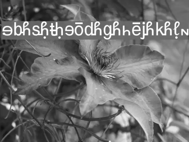 GurbaniRomanizing फ़ॉन्ट examples