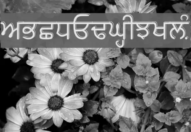 GurbaniUbhri Font examples