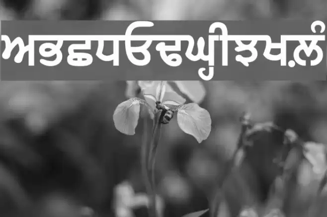 GurbaniWebThick Font examples