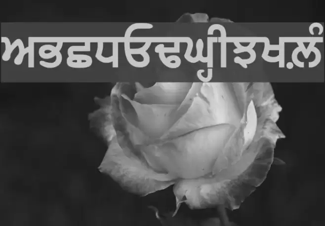 GurbaniWebThick Font examples