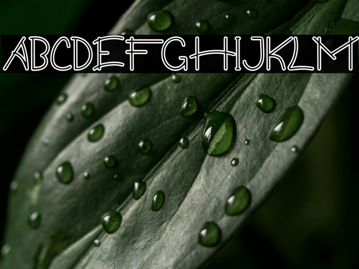 Guritno Demo Outline Example 1