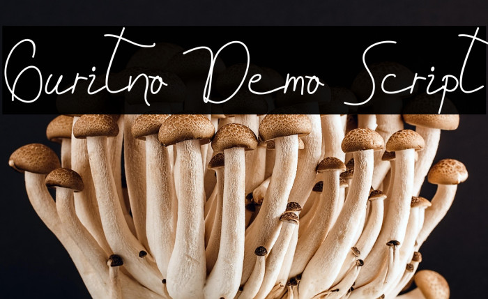 Guritno Demo Script Example 1