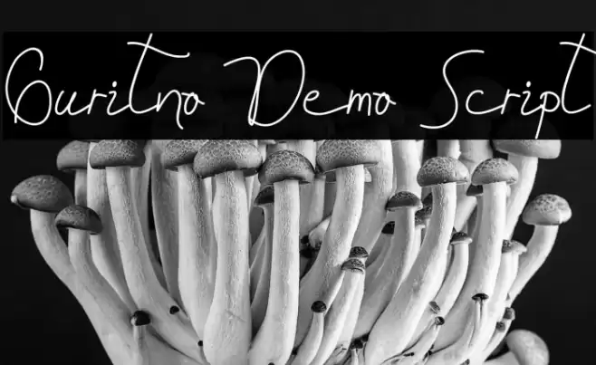 Guritno Demo Script Font examples