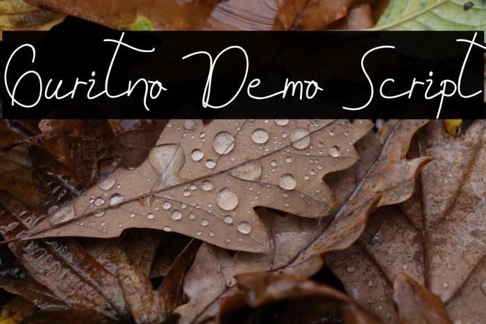 Guritno Demo Script Example 2