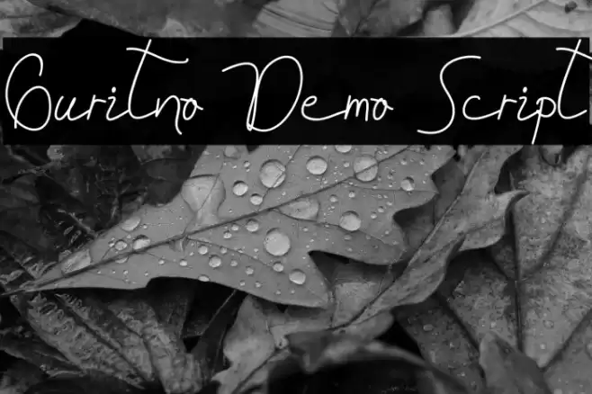 Guritno Demo Script Font examples