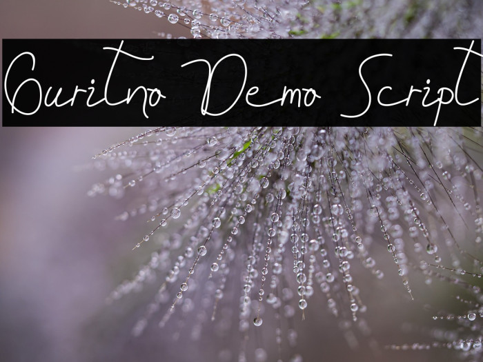 Guritno Demo Script Example 3