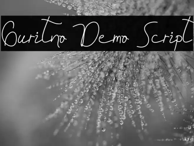Guritno Demo Script Font examples