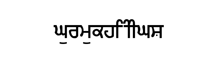 GurmukhiIIGS Font