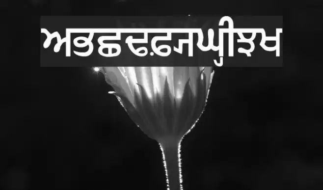 GurmukhiIIGS Font examples