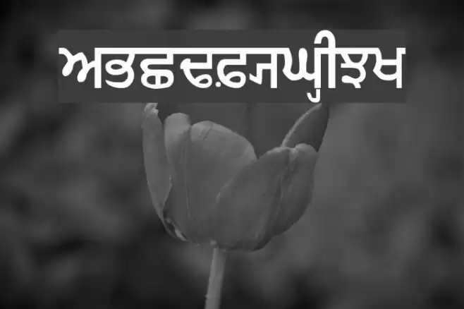 GurmukhiIIGS Font examples