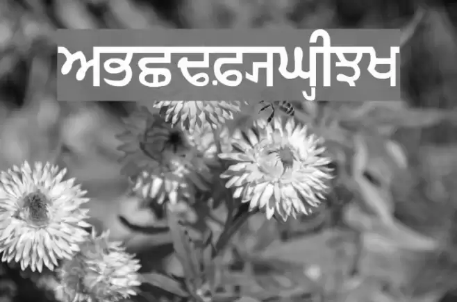GurmukhiIIGS Font examples