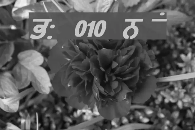 GurmukhiLys 010 Bold Italic Шрифта examples