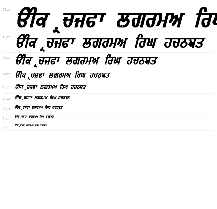 GurmukhiLys 010 Bold Italic Waterfall